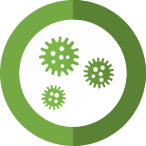 Mold Mitigation Pros