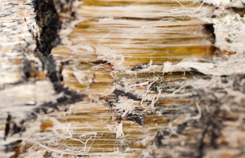 Asbestos Mitigation in Somerset County, NJ