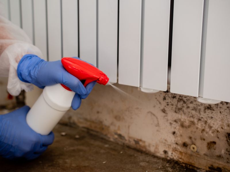 Basement Mold Remediation in Broward County, FL