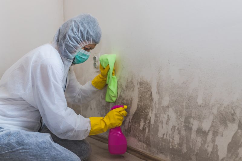 Black Mold Remediation in Fort Lauderdale, FL
