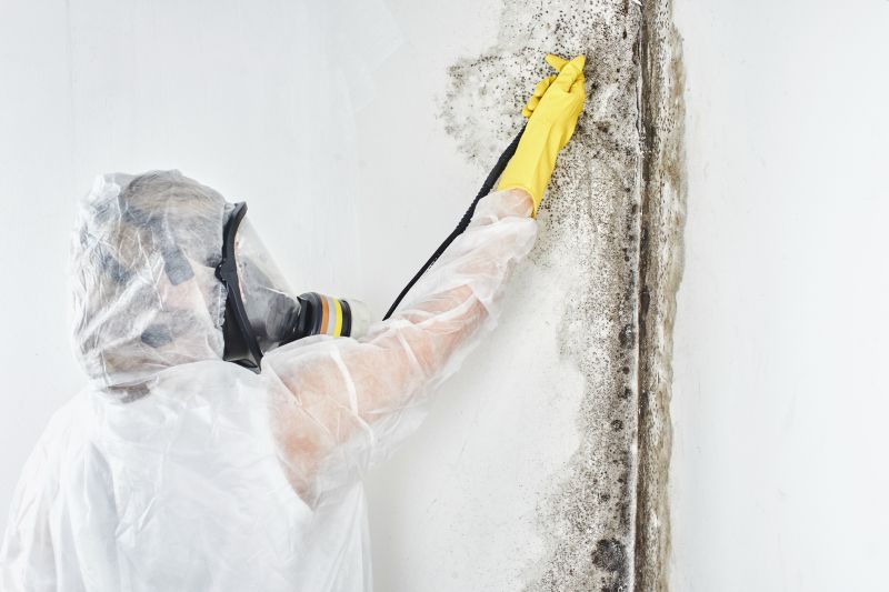 Black Mold Removal in West Palm Beach, FL