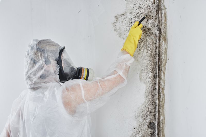 Black Mold Removal in Boynton Beach, FL