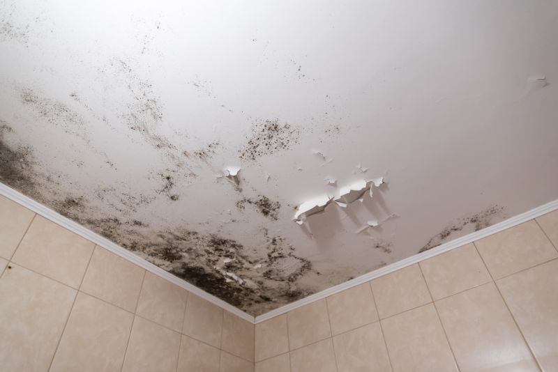 Ceiling Mold Removal in West Palm Beach, FL