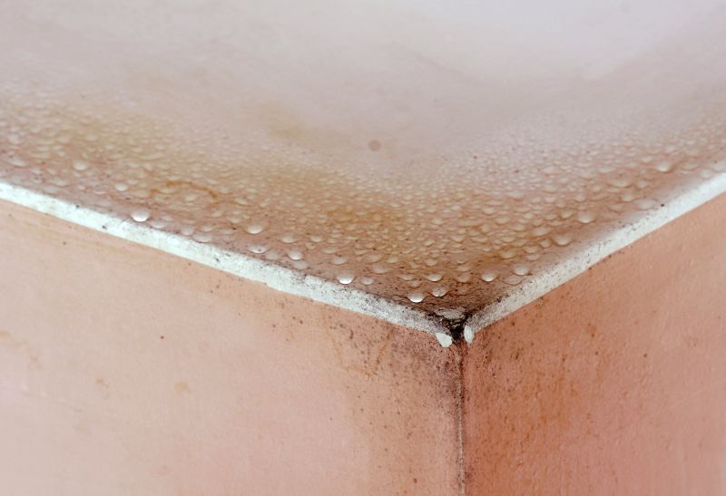 Garage Mold Remediation in Essex County, NJ
