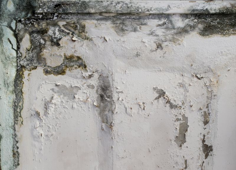 Garage Mold Remediation in West Palm Beach, FL
