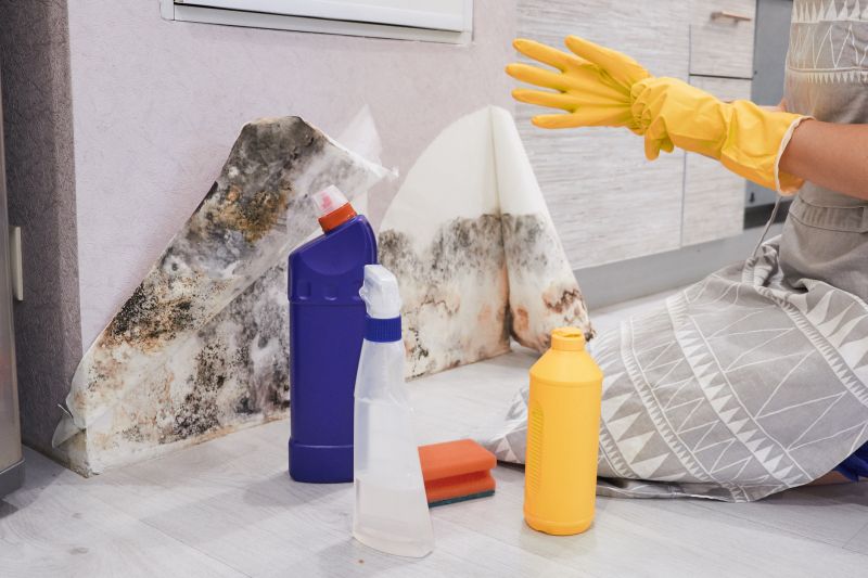 Mold Abatement Service in Broward County, FL