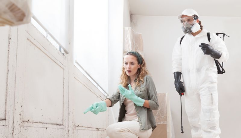 Mold Mitigation Service in Essex County, NJ