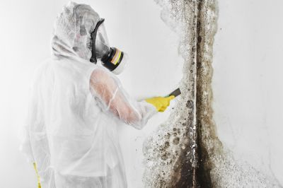 Mold Mitigation Service in West Palm Beach, FL