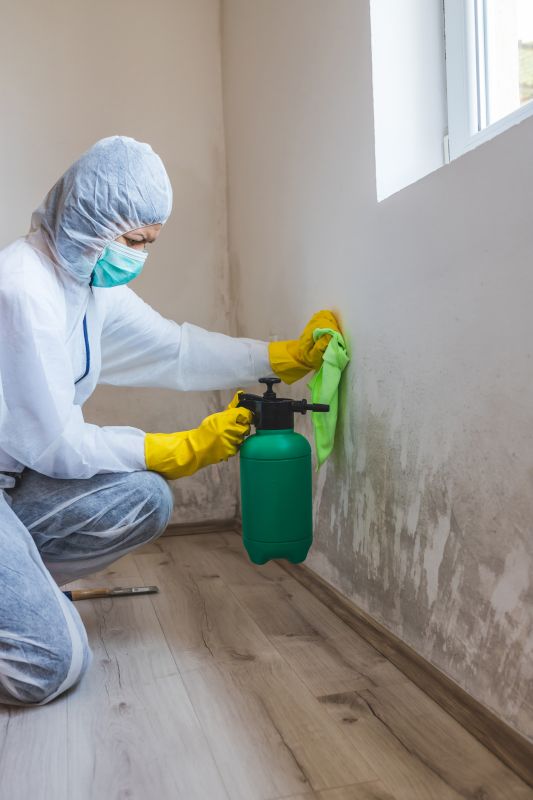 Mold Removal in Fort Lauderdale, FL