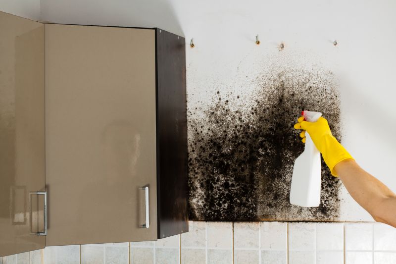 Mold Removal in Frisco, TX