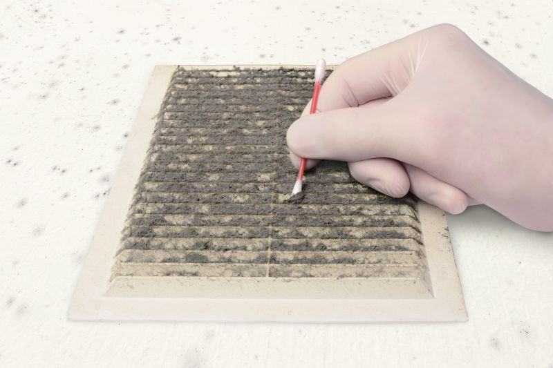 Air Duct Mold Removal in Essex County, NJ