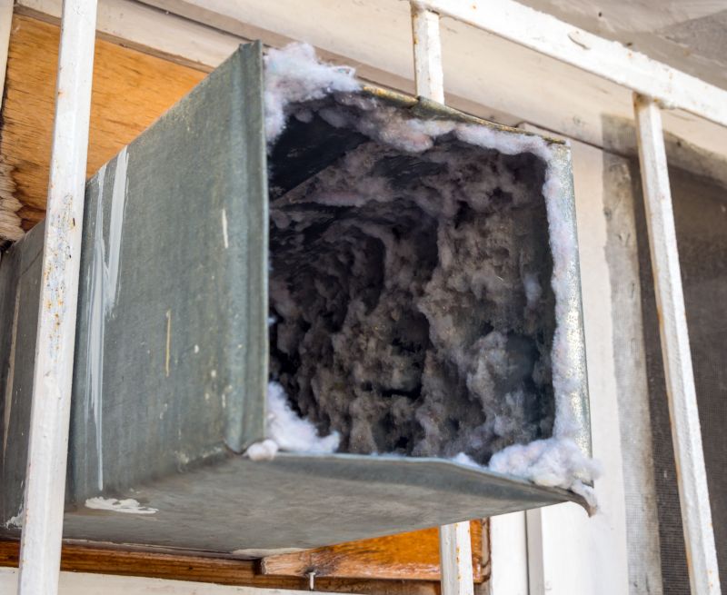 Air Duct Mold Removal in Boca Raton, FL