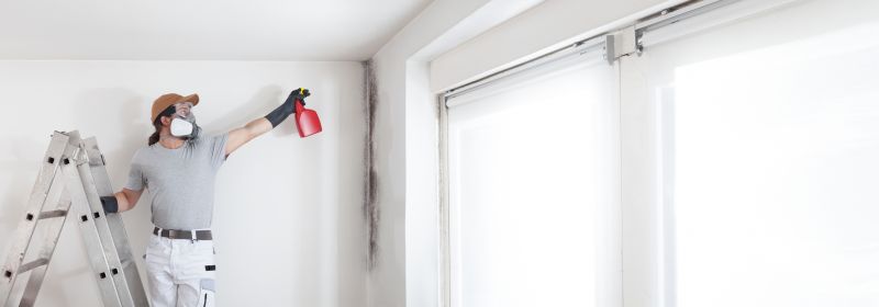 Attic Mold Remediation in Bergen County, NJ