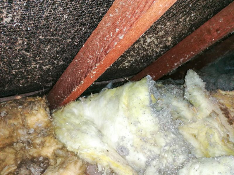 Basement Asbestos Removal in Old Bridge, NJ