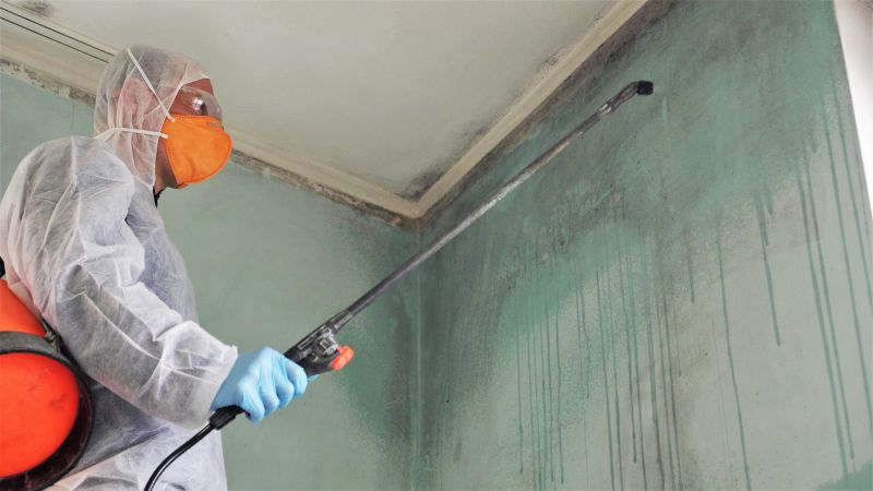 Basement Mold Remediation in Fort Worth, TX