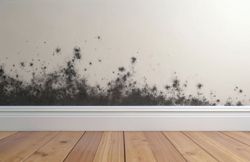 Basement Mold Removal in Broward County, FL