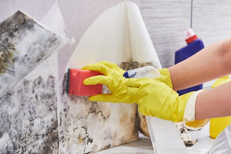 Black Mold Remediation in Fort Lauderdale, FL