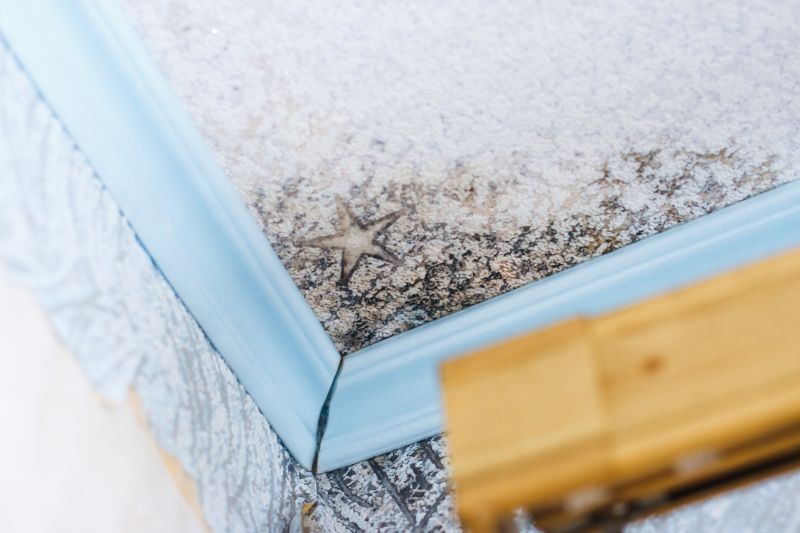 Black Mold Remediation in Broward County, FL