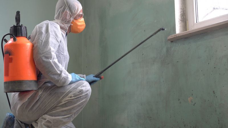 Black Mold Removal in West Palm Beach, FL