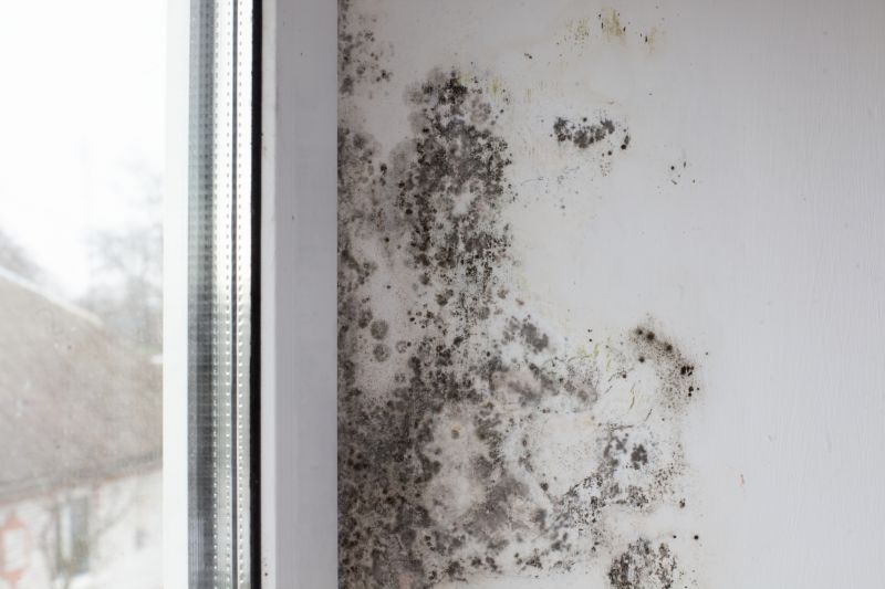 Ceiling Mold Removal in West Palm Beach, FL