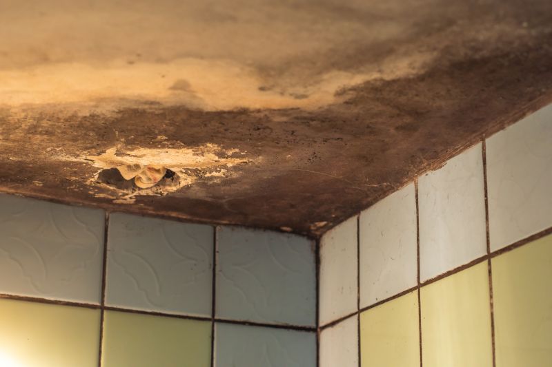 Ceiling Mold Removal in Essex County, NJ