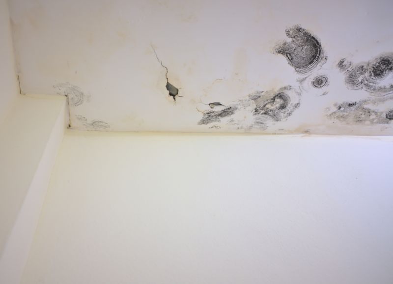 Ceiling Mold Removal in Bergen County, NJ