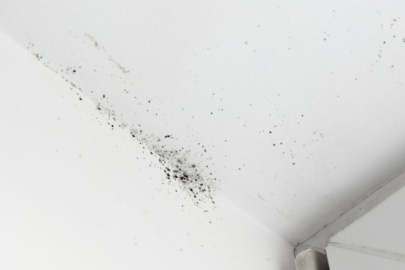 Ceiling Mold Removal in Fort Worth, TX