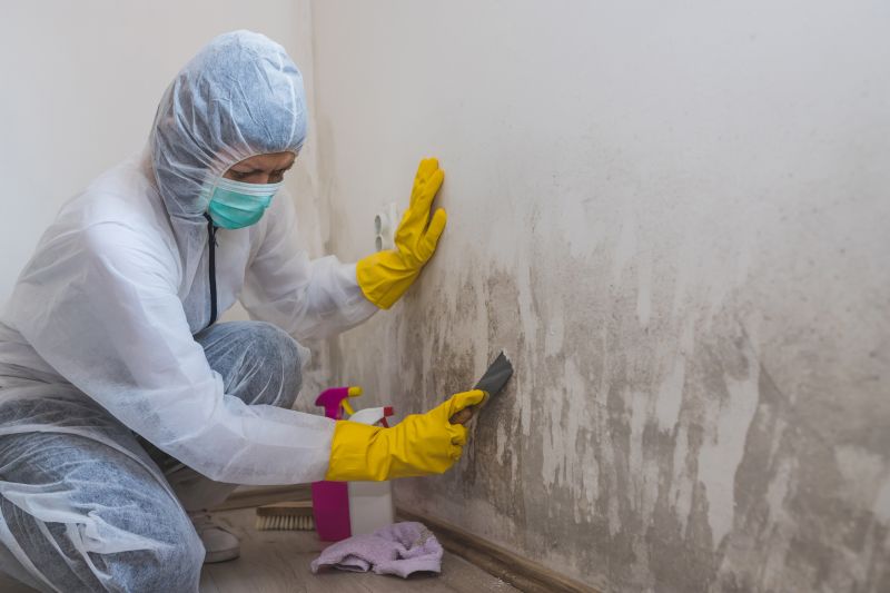 Crawlspace Mold Remediation in Fort Worth, TX
