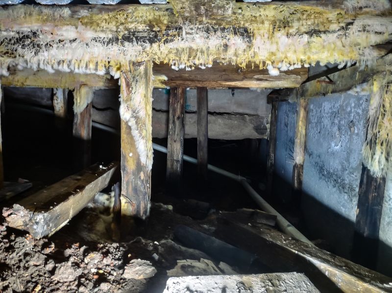 Crawlspace Mold Remediation in Fort Worth, TX