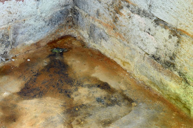 Crawlspace Mold Remediation in Broward County, FL