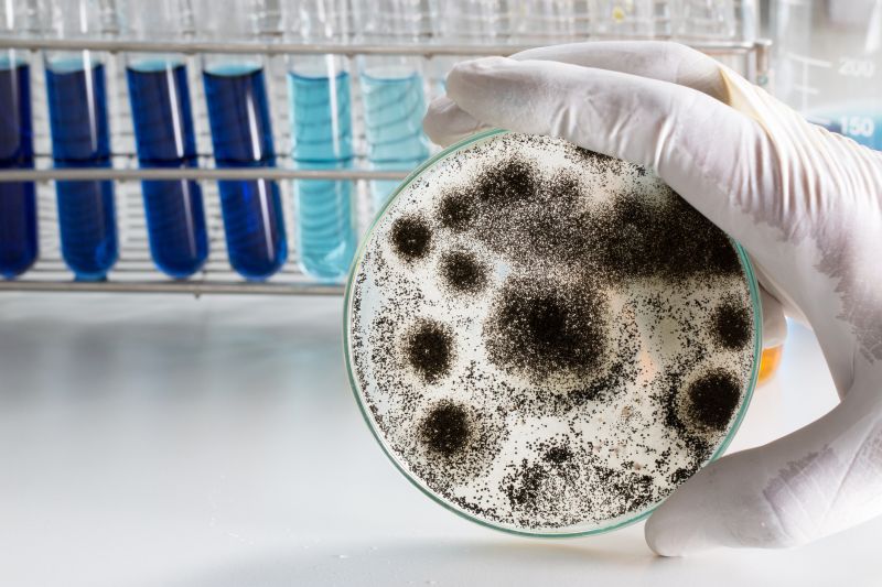 Ermi Testing in Essex County, NJ
