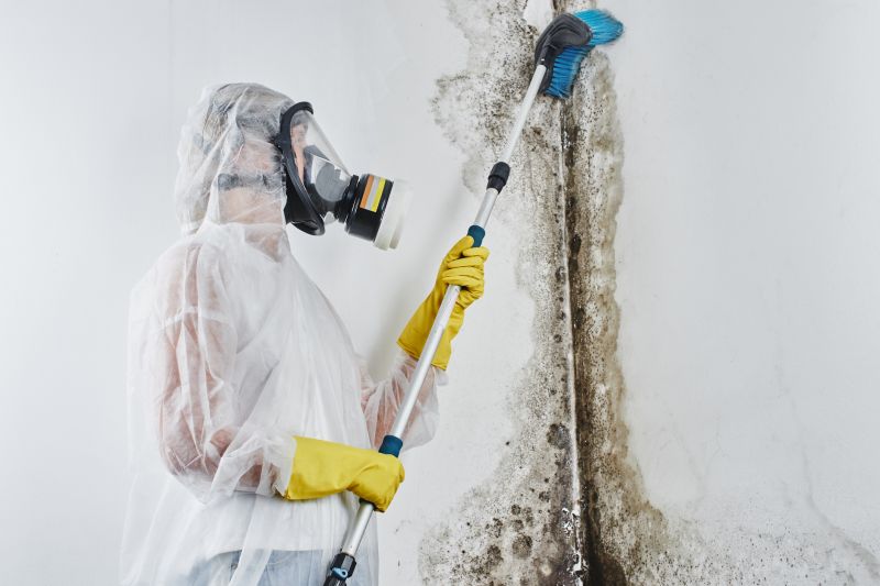 Mold Mitigation detail