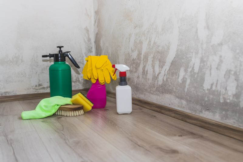 Mold Abatement Service in Bergen County, NJ