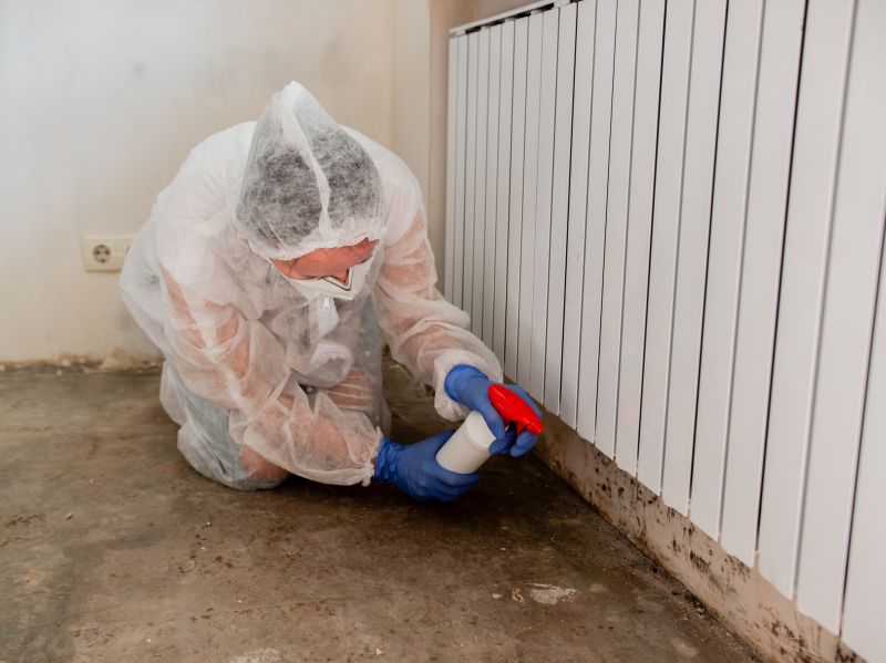 Mold Abatement Service in Essex County, NJ