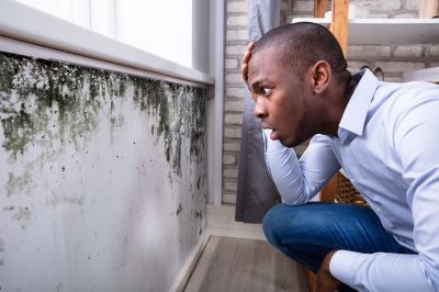 Mold Detection in Pompano Beach, FL