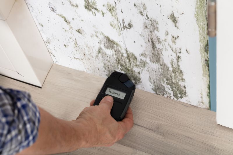 Mold Detection in Pompano Beach, FL