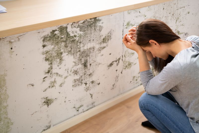 Mold Detection in Essex County, NJ