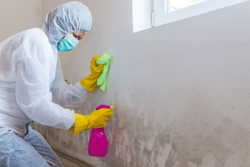Mold Remediation Service in Essex County, NJ