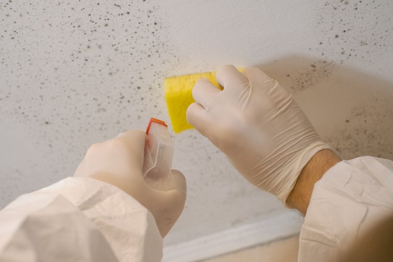 Mold Remediation Service in Dallas, TX