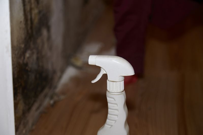 Mold Removal in Dallas, TX