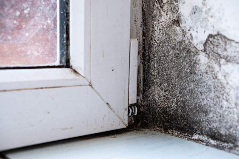 Mold Restoration in Frisco, TX