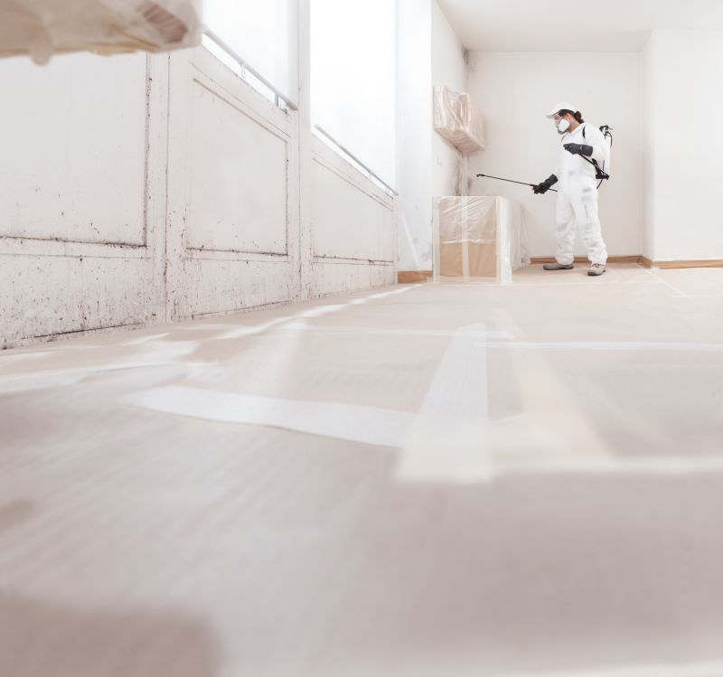 Mold Treatment Service in Broward County, FL