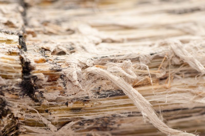 Vermiculite Removal Service in Essex County, NJ