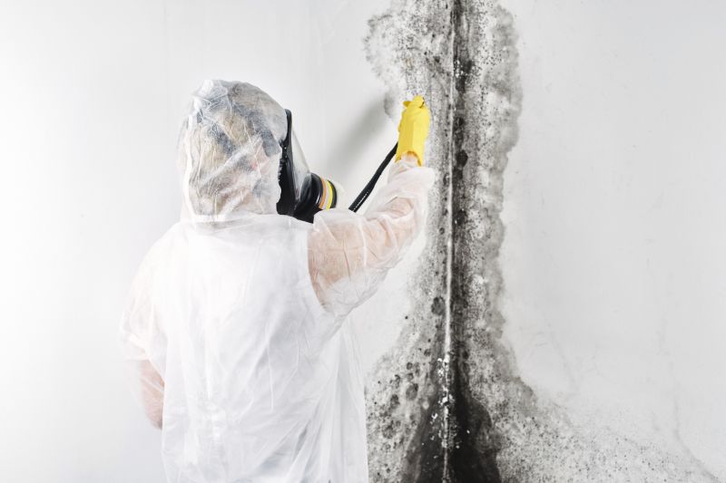 White Mold Mitigation in Essex County, NJ