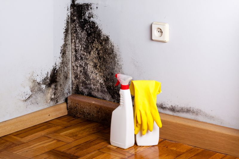 White Mold Mitigation in Broward County, FL